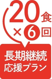 てすと、プレミアムコース
